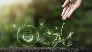 Environment Management System